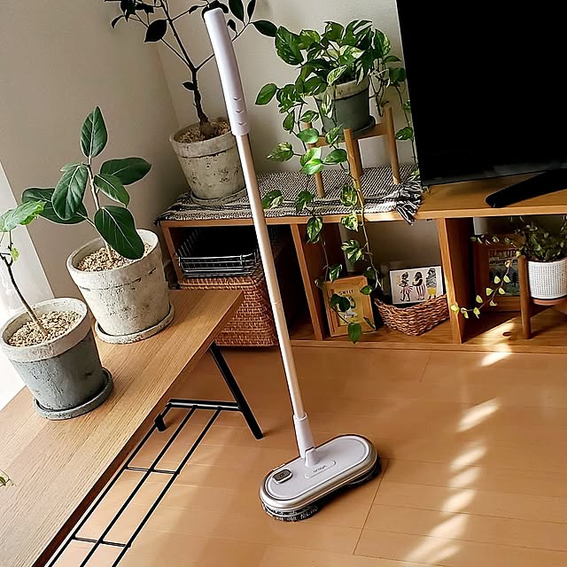 Overview,楽天で買ったもの,観葉植物,無印良品,グリーン,スタッキングシェルフ,木製家具,小さなお家,子どもと暮らす,観葉植物のある暮らし,子どものいる暮らし,かご・バスケット,ナチュラルインテリア,暮らしのひとコマ,電動モップ pomの部屋