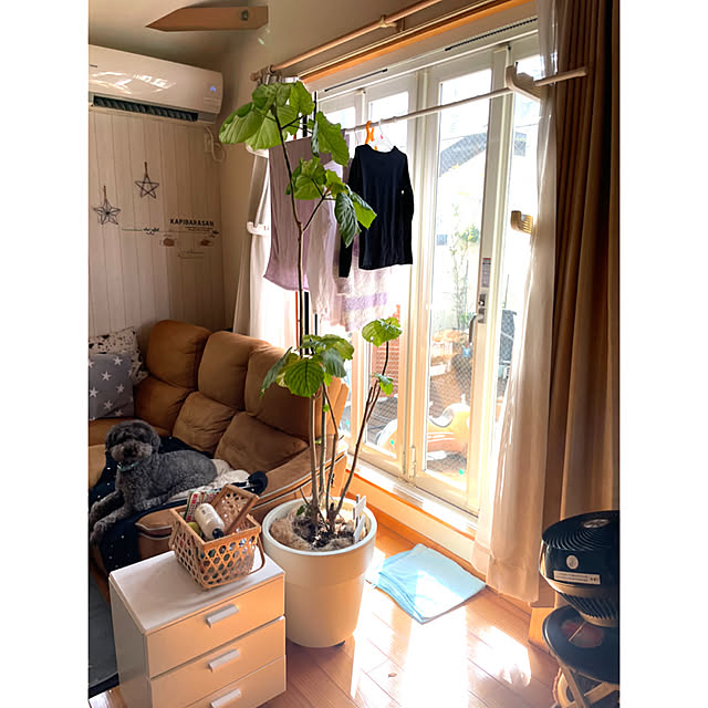 洗濯物干しスペース,アイリスオーヤマ,植物,中古住宅,植物のある暮らし,住宅密集地,RC東京支部,Overview makoriの部屋