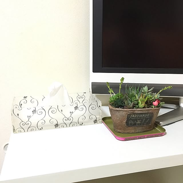 Lounge,白が好き,アクリルケース,la mere pollard,ガラスフィルム,ダイソー,ティッシュケース,ナチュラル,アンティーク,観葉植物,多肉,リメイク,多肉寄せ植え Aliceの部屋