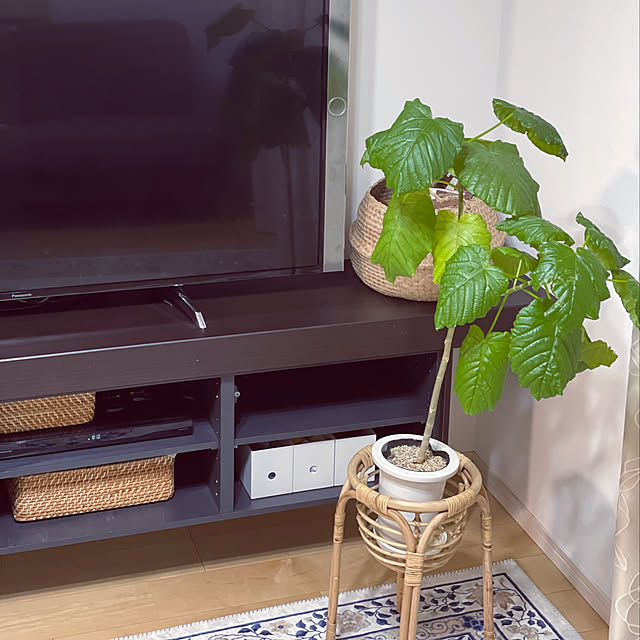 ブルーレイレコーダー,Panasonic,スマート家電,北欧,癒し,造作棚,観葉植物,Lounge,ルームクリップショッピング ma...の部屋