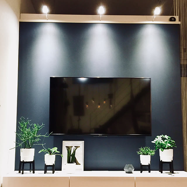 On Walls,間接照明のある暮らし,間接照明,IKEAライト,IKEA 照明,壁掛けテレビ,IKEAカタログ2019,IKEA,多肉植物,IKEA植木鉢,モノトーン,NO GREEN NO LIFE,プランタースタンド,リプサリス,ミルクブッシュ,IKEAテレビ台,プランターリメイク,ベストー,ペペロミア,グリーンのある暮らし,IKEA ウルスフルト kobami_styleの部屋