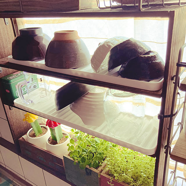 10分でできる,築40年以上賃貸,一人暮らし,Daiso,簡単DIY,古い賃貸でも楽しく♫,ひとり暮らし,観葉植物のある暮らし,水切りトレー,セリア,キッチンの窓,Kitchen GowBooの部屋