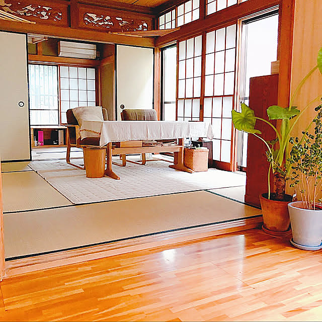 リビングでもダイニングでも使えるシリーズ,和室ダイニング,和室リビング,和室,無印良品,Overview,緑のある暮らし,和モダン目指して,観葉植物 79.yuuuの部屋