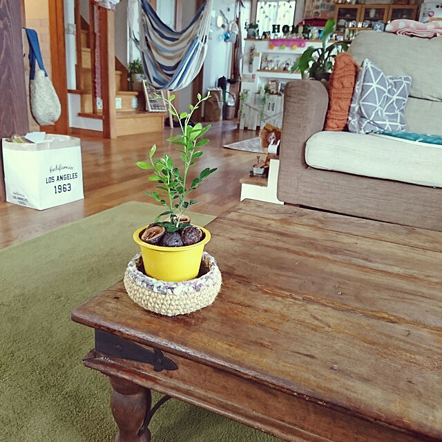 My Desk,植木鉢,古いテーブルリペア,グリーンのある暮らし,ダイソー,100均 akiの部屋