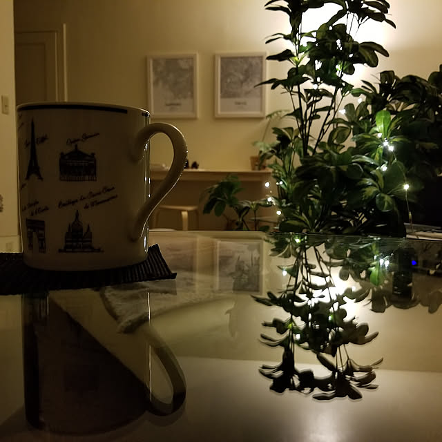 Lounge,グリーンのある暮らし,観葉植物,ホリデーシーズン,ナチュラル,夜,一人暮らし,雑貨,ディスプレイ,フェイクグリーン,ナチュラルインテリア,ジュエリーライト,フェイクフラワー,カフェ風,おやすみなさい,秋冬インテリア mの部屋