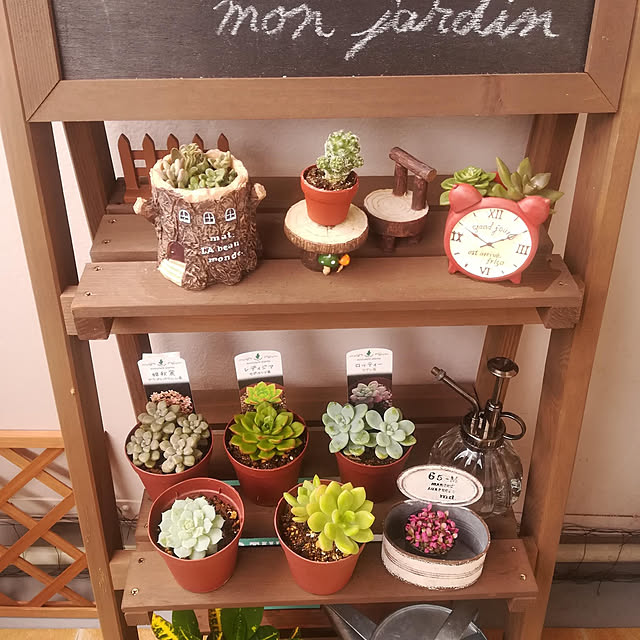 オープンラック,ガーデン雑貨,ガーデニング初心者,園芸雑貨,多肉植物,ナチュラルキッチン,姫秋麗,多肉植物のある暮らし,ベランダガーデニング,セダム,姫秀麗,ロッティー,多肉ちゃん,木製ラック,サボテン&多肉,ガーデニング,ブリキ缶,ニトリ,サボテン,春萌,木製プランター台３段,プランター台3段,ブラックボード,桜吹雪,桜吹雪(多肉植物),My Shelf marineの部屋