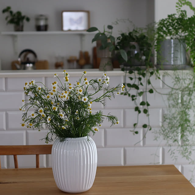 花のある暮らし,グリーンのある暮らし,植物のある暮らし,みどりのある暮らし,flame 照明,My Desk hanatomidorinoheyaの部屋