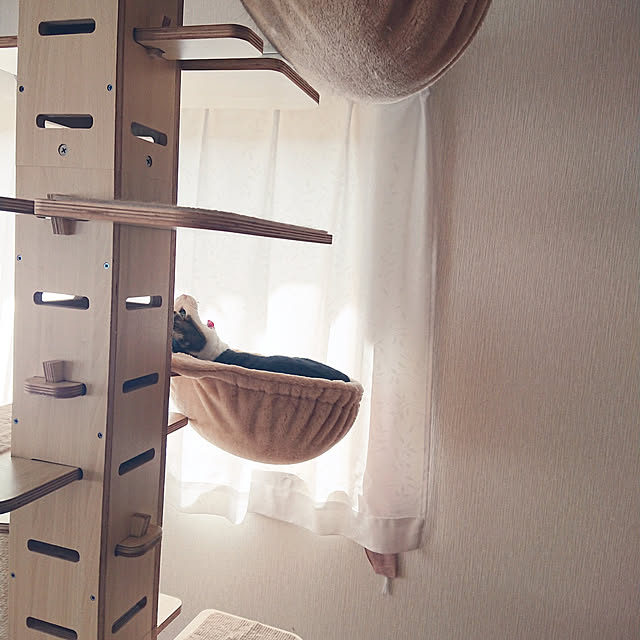 Bedroom,猫と暮らす,シンプル,猫との暮らし,キャットタワー,ナチュラル,掃除しやすい,猫ハンモック nathiの部屋