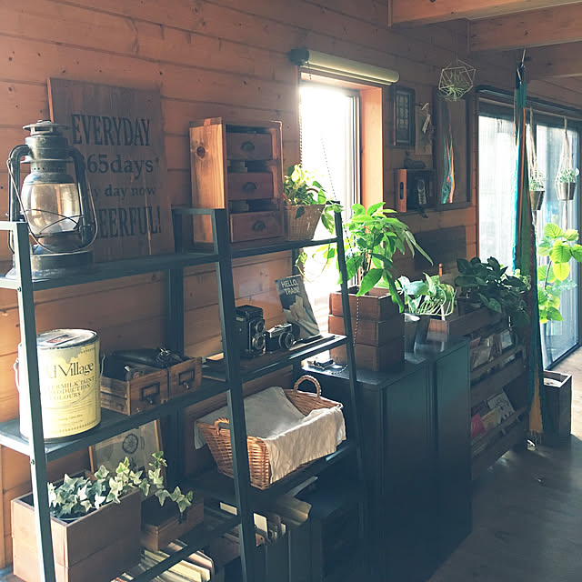 Lounge,NO GREEN NO LIFE,BESSの家,みせる収納,IKEA,DIY棚,観葉植物,本棚 meccoriの部屋