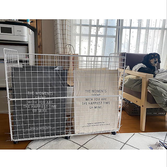 ダックスフンド♡,ゴミ箱DIY,DAISO♥,ワイヤーネット,生活感のある家,建て売り一戸建て,築10年以上,Lounge maryの部屋