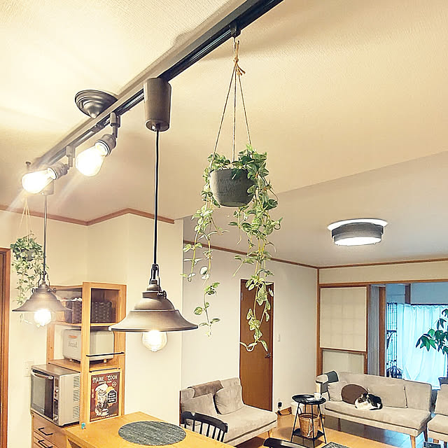 わが家の明かり,中古住宅,平屋暮らし,シンプルナチュラル,猫と暮らす家,ねことインテリア,アンプールさんの照明,電球色が好き,皆さんいつもありがとうございます,見てくださってありがとうございます,LED照明,フェイクグリーン,雪見障子で仕切れます,On Walls +CHIHARU+の部屋