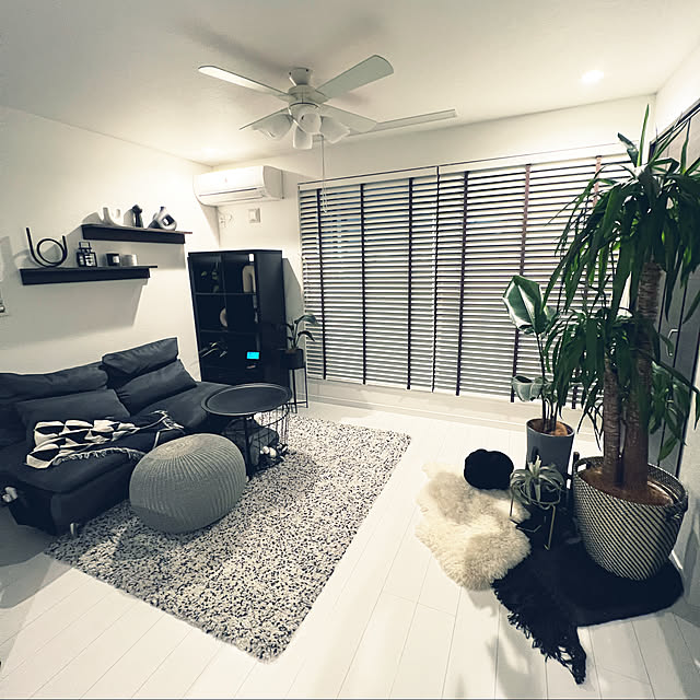 ラグ,IKEA,シンプル,ブラックインテリア,観葉植物,シンプルモダン,ニチベイ,Lounge miniの部屋