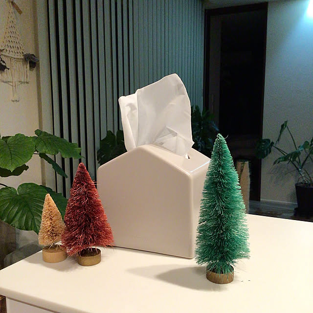 KEYUCA,クリスマス,わが家の明かり,くつろぎ時間,観葉植物,癒し,癒しの空間,植物のある暮らし,イベント参加,マクラメタペストリー,Lounge houenの部屋