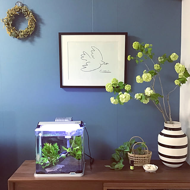 熱帯魚水槽,絵画のある部屋,ピカソポスター,ブルーグレーの壁,ビバーナムスノーボール,植物のある暮らし,花のある暮らし,ケーラー オマジオ,My Shelf,フラワーベース,ケーラー,ブルー sの部屋