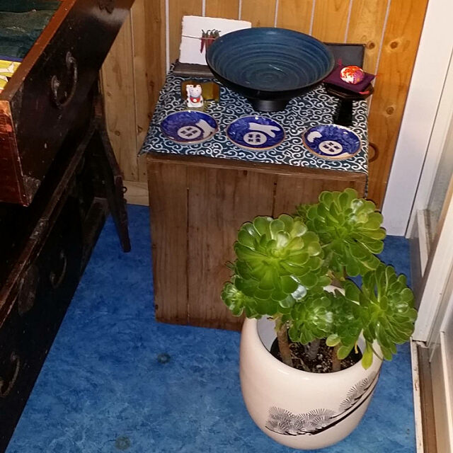 火鉢を鉢カバーに,レトロ,アンティーク,多肉植物 Yukaの部屋