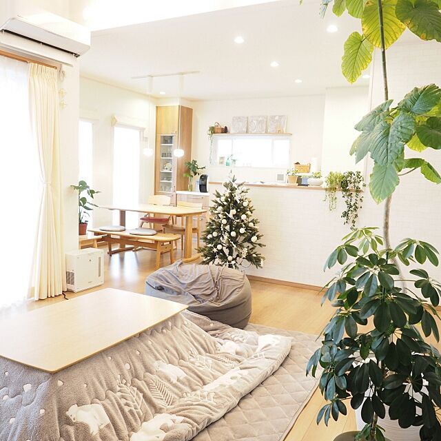 Lounge,ひとをダメにするソファ,観葉植物,ニトリのこたつ&布団,冬支度,シンプルナチュラル a_tankoの部屋