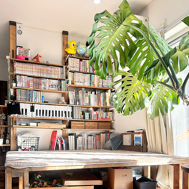 Lounge,本棚,小上がり,DIY,読書スペース,子どもと暮らす,こどものいる暮らし,発達っ子と暮らすインテリア,発達障がい児の子育て shiratamaの部屋