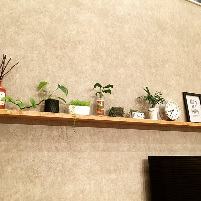 On Walls,アクセントクロス,壁紙,サンゲツ,newgate時計,NEWGATE,造作家具,観葉植物 momoの部屋