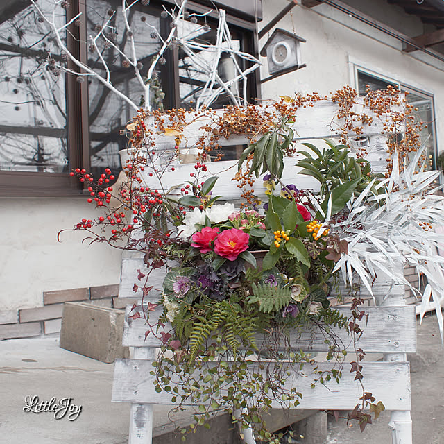 Entrance,寄せ植え,半水耕栽培,里山生活,ダイソー,ウォールプランター,お正月,ホワイトシャビー,正月飾り,葉牡丹,万両,千両,南天,立て看板,DIY littlejoyの部屋