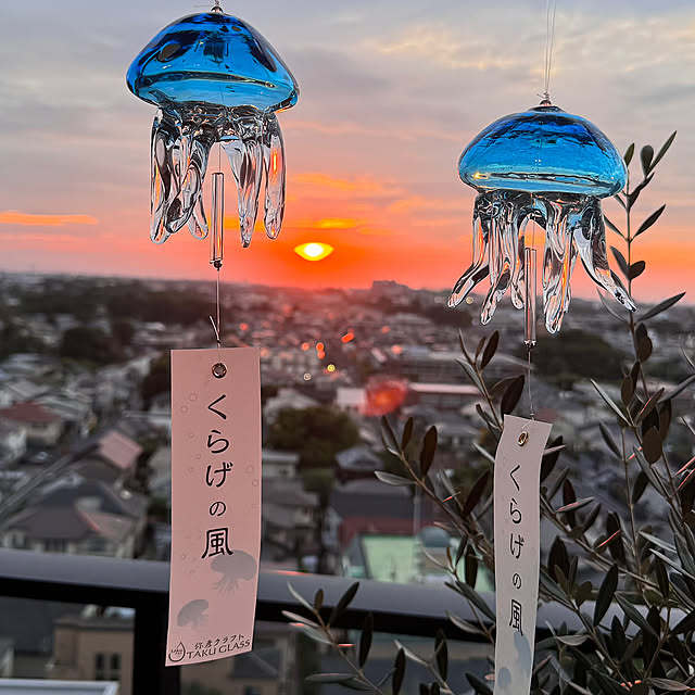 On Walls,涼しげ,涼しげインテリア,夏色,夏の風物詩,夕方の風景,クラゲ好き,クラゲ風鈴,夏空,夏インテリア,ベランダ,雑貨,風鈴,夏の庭,夏の暮らし準備2025 ttの部屋