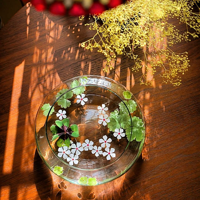 花のある暮らし,花遊び,ガラスの器 chikuwaの部屋