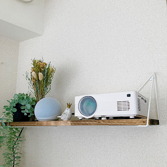 LABRICO,平安伸銅工業,フェイクグリーン,アンティーク雑貨,ドライフラワー,DIY棚,スマートスピーカー,アレクサのある生活,My Shelf,プロジェクターのある部屋,プロジェクター,一人暮らし,ワンルームインテリア,ワンルーム,ゲーム好き,テレワーク,ナチュラル sakaの部屋