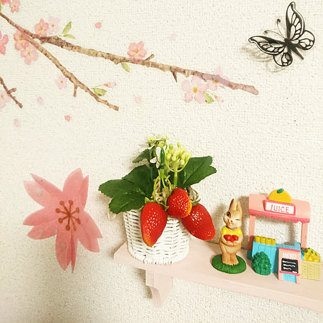 On Walls,ゆめかわいい,一人暮らし,ダイソー,100均,ちょっといいもの,桜 demeの部屋