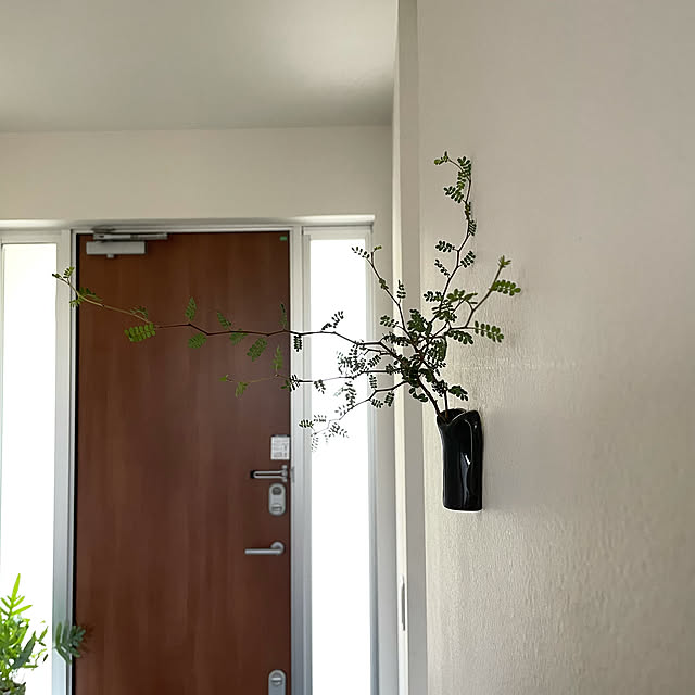 花びん,ホワイト化,モダンインテリア,北欧モダン,植物のある暮らし,モノトーンインテリア,モノトーン,椅子,Entrance chororiの部屋