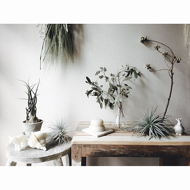 Bedroom,鏡餅,お正月,しめ縄,植欲,Brocante,NO GREEN NO LIFE,ブロカント,Insta→george_xero,植物,植物のある暮らし,正月飾り,ドライフラワー,〆縄,蚤の市,ドライフラワーのある暮らし,シャビーシック Georgeの部屋