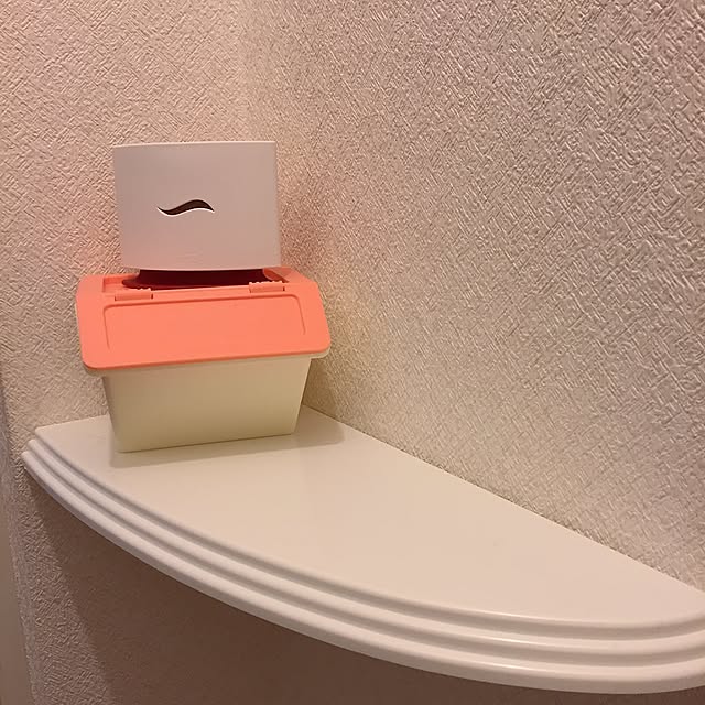 Bathroom,ダイソー,コーナーラック,2LDK賃貸アパート,シンプル,トイレ,初投稿,100均,ペリカンボックス Erikaの部屋