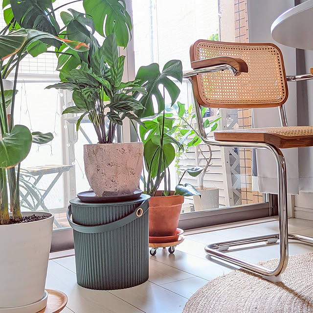 RoomClipショッピング,夏のスペシャルクーポン,ベランダ,チェスカチェア,knoll,ナチュラル素材,GREENのある暮らし,オムニウッティ,Lounge Libraの部屋
