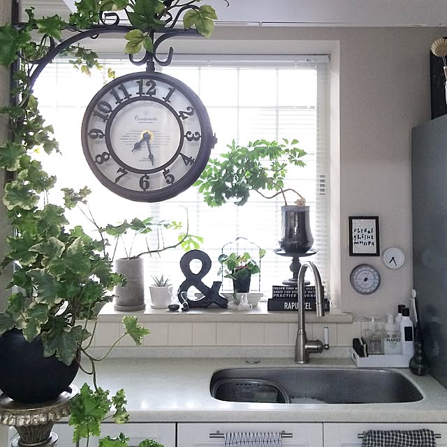 Kitchen,観葉植物,海外インテリア好き,ホワイトインテリア,IKEA,FlyingTiger,グレー好き,北欧,雑貨,IGやってます,フラワーベース,壁掛け時計 k.home1224の部屋