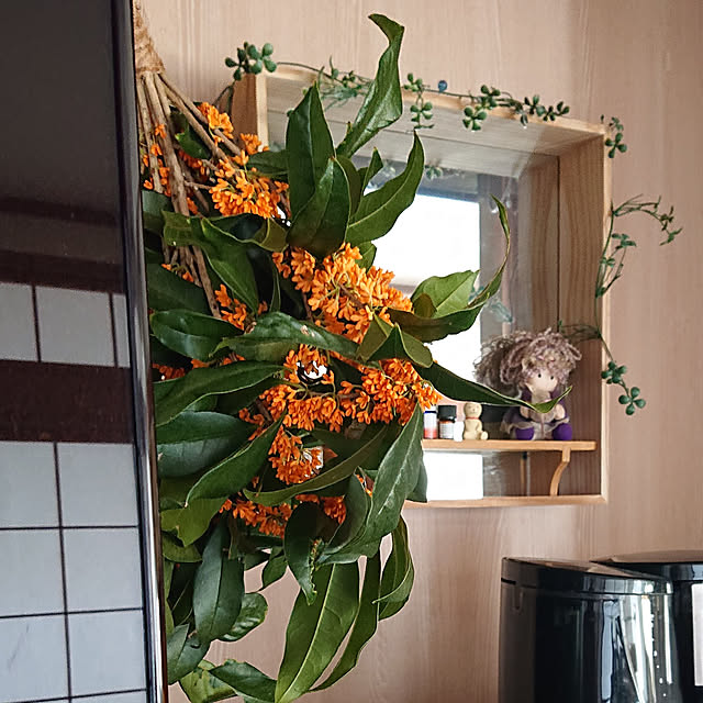 Kitchen,古民家,田舎暮らし+ﾟ*,みて頂きありがとうございます♡,いつもありがとうございます♡,花は癒し,障子、入れました,自然がすき,金木犀,加工なしです♡,手作りスワッグ kaorinaの部屋