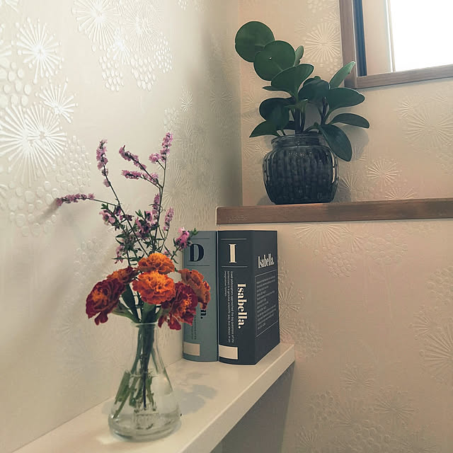 Bathroom,植物のある暮らし,ダイソー,セリア,建売り一戸建て,猫が好き,庭の花を飾る,猫が癒し,ねこのいる日常,ナチュラル,おうち時間,趣味を楽しむ,ナチュラルインテリア,ダイソー観葉植物,建売住宅でもオシャレにしたい,観葉植物,ナチュラル素材,アジュガ,ダイソーペペロミア,こぼれ種で咲きました。,マリーゴールド,暮らしを楽しむ,トイレ収納無い,生理用品収納 sayan_0321の部屋