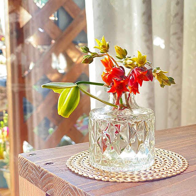 Lounge,空き瓶,多肉植物の花,アルブカ スピラリス フリズルシズル,2025.5.29,プチプラインテリア,いつもありがとうございます,花のある暮らし,NOGREEN NOLIFE,植物のある暮らし,フォローありがとうございます,多肉植物のある暮らし,癒しの時間,おうち時間 mintteaの部屋