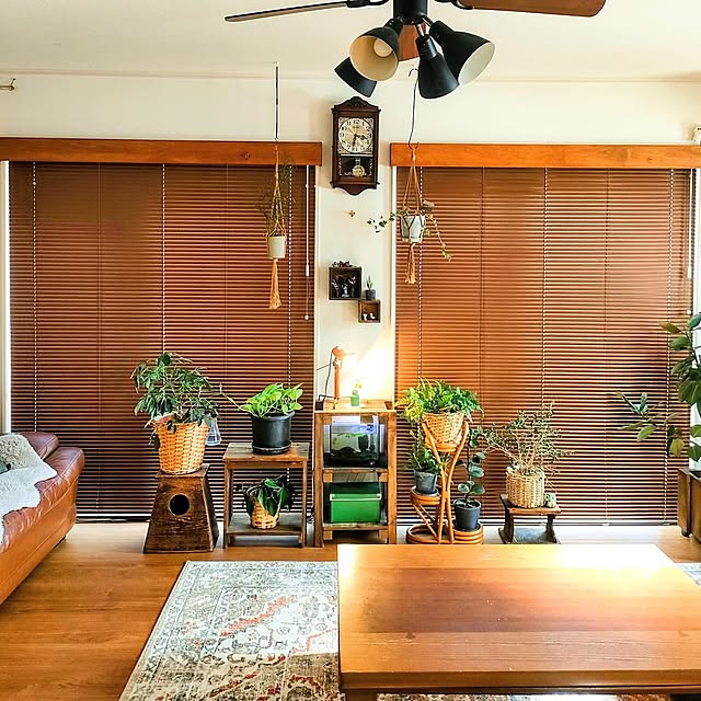 Lounge,観葉植物,ブラウン,間接照明,レトロ,古道具,ライトアップ,建売住宅,ブラウンインテリア,茶系インテリア,DIYのある暮らし,カーテン・ブラインド AKiCHiの部屋