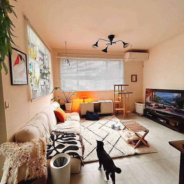 Lounge,洗えるラグ,猫,ローソファー,ニトリ,雨の日を楽しむ暮らし,雨の日,オレンジ,間接照明,フロアタイル,BAUHAUS,バウハウス mako2yaの部屋