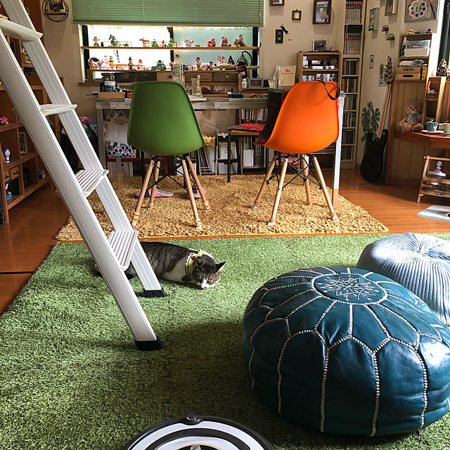 四季物ひろば,芝生,ジョイントマット,ラグ,ねこのいる風景,シーヴァの肌触りはサラサラ,猫も大好きシーヴァ,白キジのん,Lounge jijiの部屋
