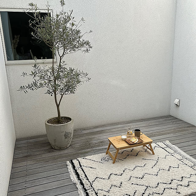 Overview,癒しスペース,庭,一戸建て,グリーン,北欧,くつろぎ空間,中庭,オリーブの木 kazの部屋