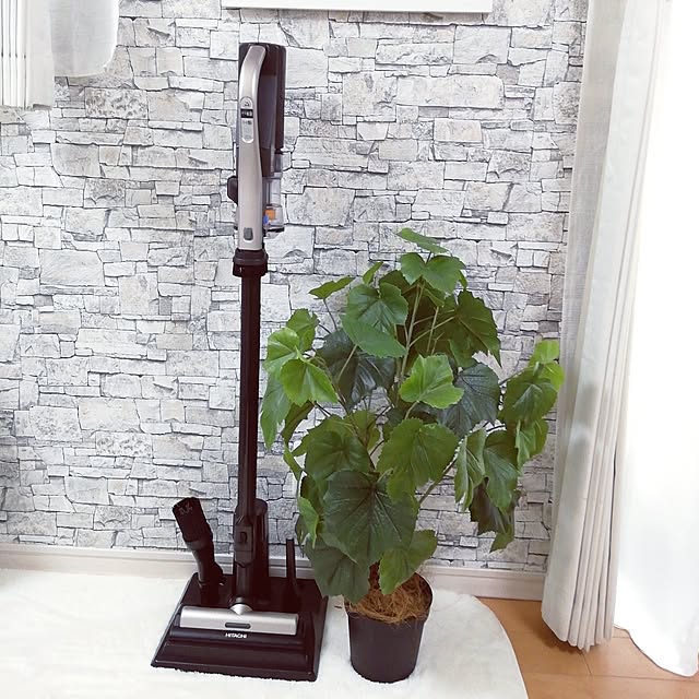 新生活,モノトーン,モノトーンインテリア,コメント喜びます♡,すっきり暮らす,フェイクグリーン大好き♡,フェイクグリーン,フォロワーさんに感謝♡,RCの出会いに感謝♡,いいね♡ありがとうございます♡,コメント嬉しいです♡,子供のいる暮らし,シンプルな暮らし,フェイクグリーンのある暮らし,モノトーンインテリア好き,コードレス掃除機,日立,日立ラクかる,コードレススティッククリーナー,お掃除 G.Mの部屋