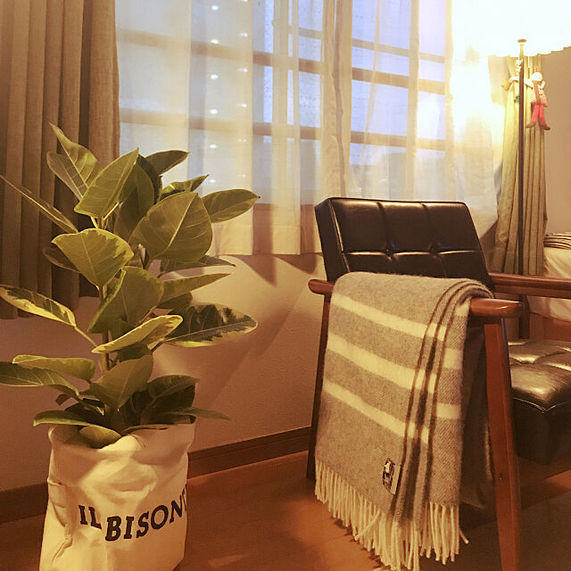 Lounge,イルビゾンテ,ナチュラル,北欧,一人暮らし,観葉植物,ソファ caoichigoの部屋