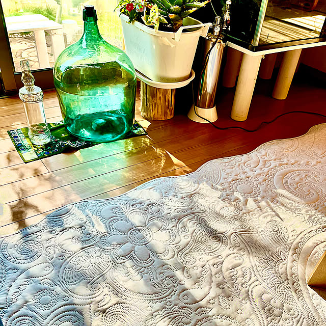 Lounge,アロエ,ラグ,デミジョンボトル,ナチュラル,気分転換に模様替え,家を遊ぶ satoの部屋