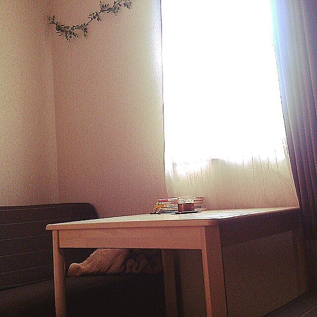 Lounge,一人暮らし,賃貸,ニッセン,イオン,セリア,窓辺,100均 Mizubasyoの部屋