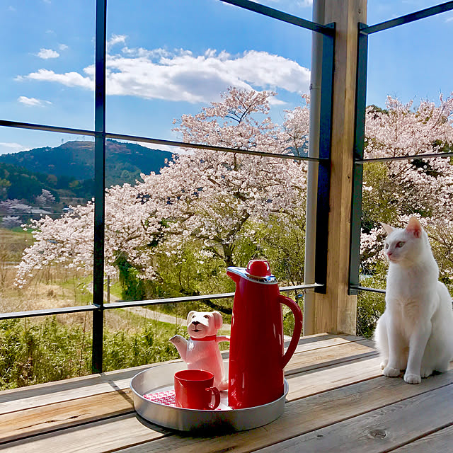 レトロポット,コメントお気遣いなくです❤️,アウトドアリビング,お気に入り,大好きなもの,幸せ時間,里山,2019/06/01,猫,夢がいっぱい,景色が大好き,ウッドデッキ,保護猫,庭,自然がいっぱい,借景,Lounge sakurasakuの部屋