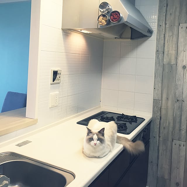 Kitchen,断捨離,北欧,ねこのいるくらし yaccoccoの部屋