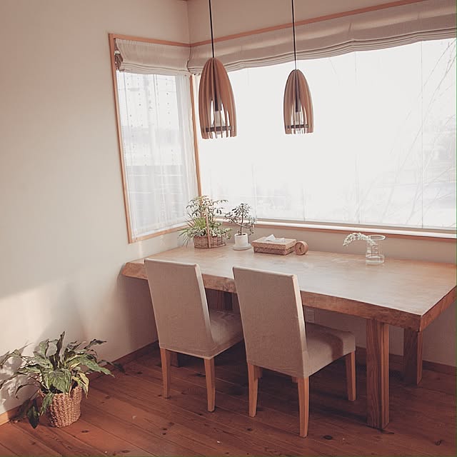 Lounge,観葉植物,ペンダントライト,無垢板テーブル,ダブルシェードカーテン,FIX窓,無印良品,ダイニング,ビーカー Tommyの部屋
