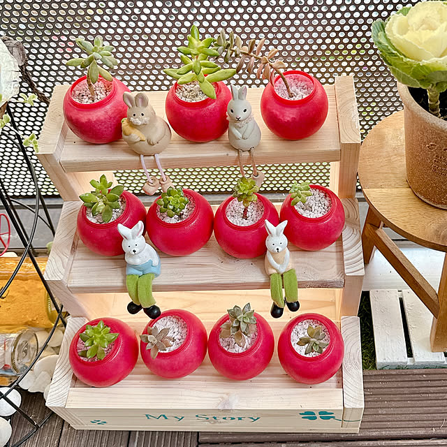 いつもいいねをありがとうございます♡,コメントスルーで大丈夫です♡,ビニールハウス欲しいな,モニター応募投稿,冬越しの準備,冬越しできるかな,ベランダガーデニング,観葉植物,ミニベランダガーデン,ベランダ,癒し,癒しの時間,感謝です♡,ビニール温室,ビニールハウス,ガーデンハウス,小型ビニールハウスもいいなー,妄想ばかり膨らむ,コメントお気遣いなくです♡,Entrance miyuの部屋