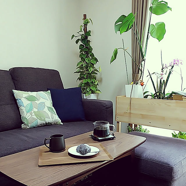 Lounge,コーヒーのある暮らし,いつもありがとうございます♪感謝☆,観葉植物のある生活,観葉植物のある暮らし,レコルト,コーヒー,コーヒー豆,コーヒーにはまる,コーヒータイム,ハンドドリップ,レコルトコーヒーメーカー,コーヒーカップ,カルディ,モカマタリ,キキマグ akiwaka-roomの部屋