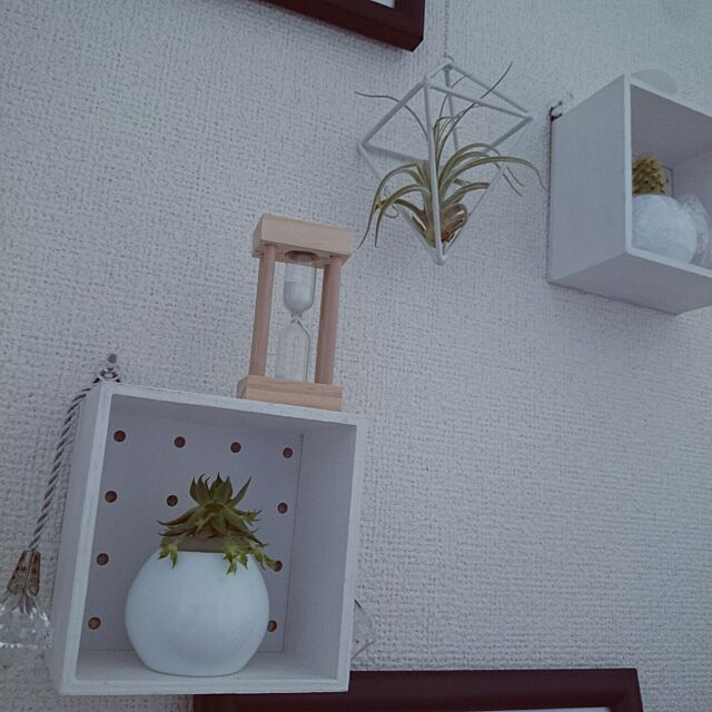 On Walls,3coios,多肉植物,エアープランツ,ダイソー,砂時計,白が好き fu3.iwaの部屋