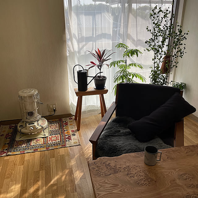 Lounge,アラジンブルーフレーム,オールドキリム,ウッレルスレヴ,パーソナルチェア,インテリア,お気に入り,シンプル,シンプルライフ,ミニマリスト,丁寧な暮らし,シンプリスト,片付けやすい,おうち時間,余白のある暮らし,心地よい暮らし,ミニマルライフ,持ちすぎない暮らし,そうじを楽にする,冬支度,植物のある暮らし,観葉植物のある暮らし,エアープランツ,リビングテーブル joker27の部屋